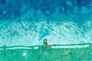 付费图片-10张唯美高清大海风景壁纸